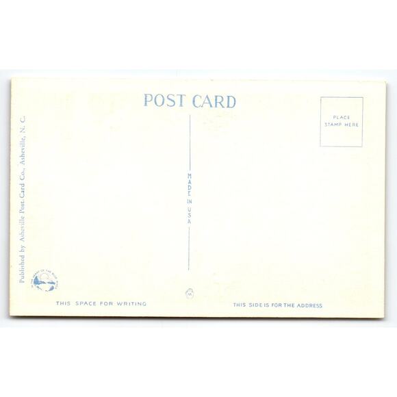 Vintage Linen Postcard Roaring Fork Creek Great Smoky Mountains Park - Picture 2 of 2